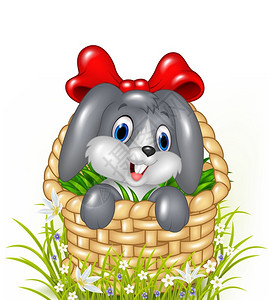 带着红色丝带篮子里可爱小兔图片