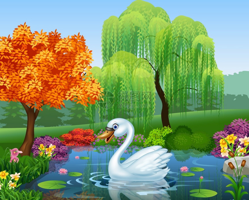 公园湖里可爱的天鹅插画图片