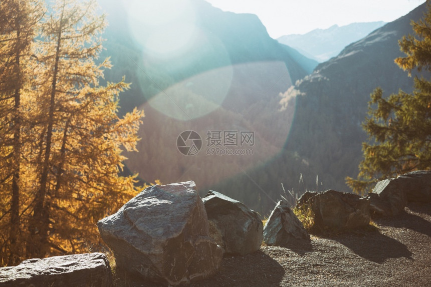 秋山高的美丽地坡和日落的黄色小龙图片