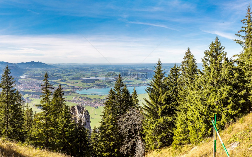 夏季白天在德意志山中被从丘夺走靠近内华士万斯坦城堡图片