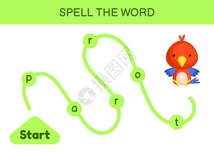 孤立的鹦鹉儿童迷宫拼写字游戏模板学矢量说明插画