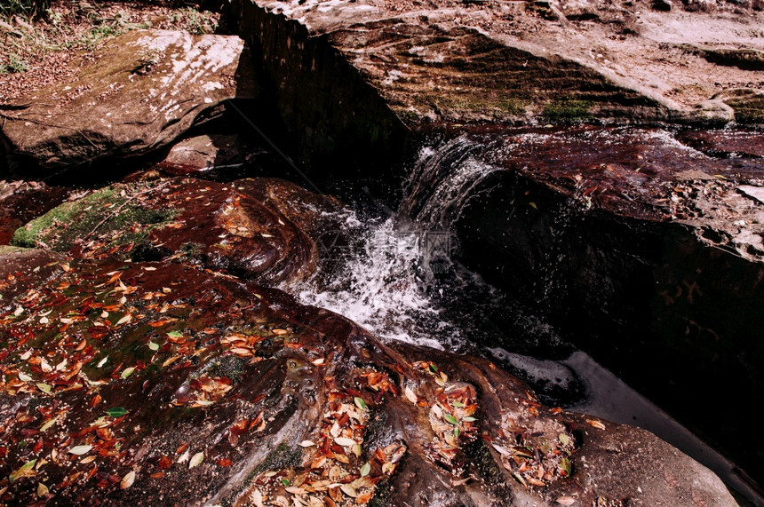 美丽的瀑布白流秋叶覆盖着石块图片