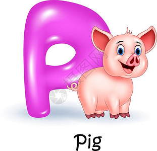 猪用信件插图p图片
