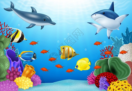 海豚吉祥物有珊瑚和热带鱼类的美丽水下世界插画