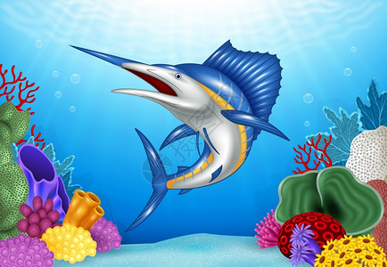 卡西利亚斯海底世界和卡通旗鱼插画