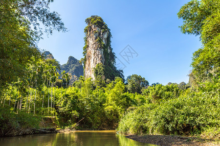 夏日泰国的热带雨林高清图片