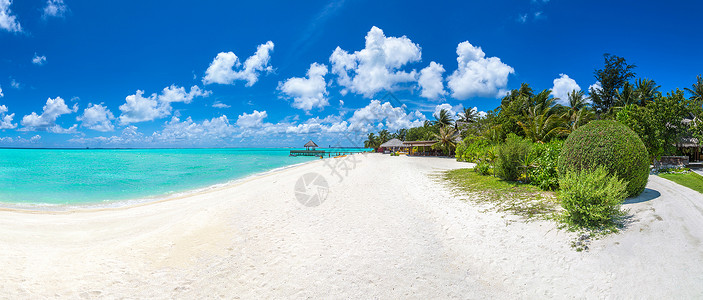 夏季日热带沙滩的全高清图片