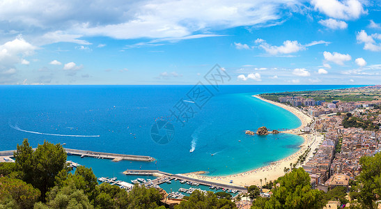 帕洛梅拉在美丽的夏日中波斯文背景