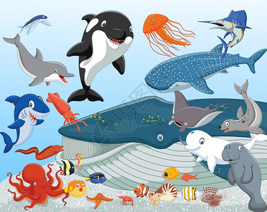 卡林吉海洋动物矢量元素插画