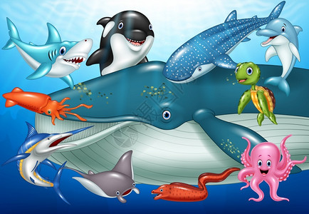 卡比托林海洋动物矢量元素插画