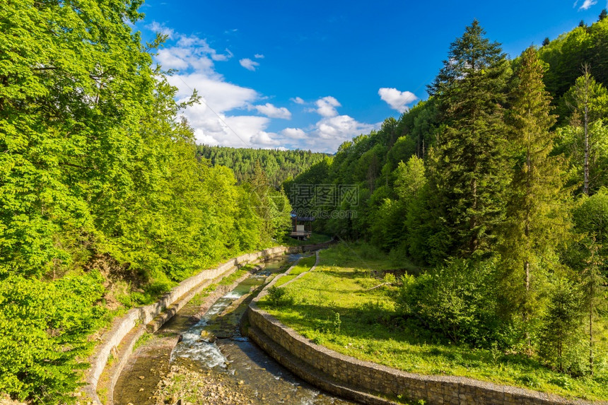 喀尔巴阡森林中的山川在美丽夏日乌黑图片