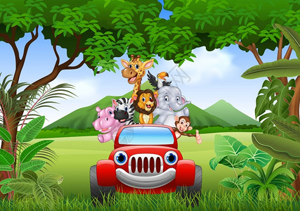 红色汽车中的可爱动物矢量插图图片