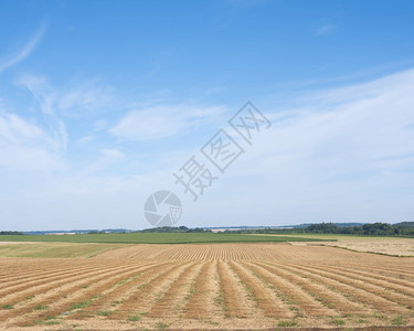 夏季蓝天下北法国部露天地貌的农村图片