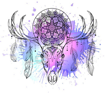 萨达拉姆以羽毛曼达拉和尼龙水色污点来说明鹿头骨的神秘插图对象与背景分开矢量boh图像用于印在杯子封面和你的创造力上鹿头的神秘插图包括羽毛插画