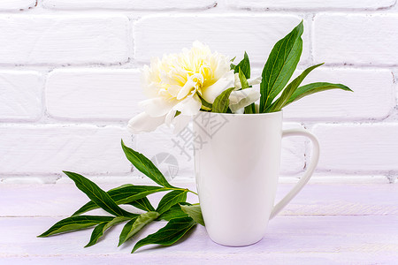花空白素材白卡布奇诺咖啡杯装奶油小马花空杯装作设计促销品背景