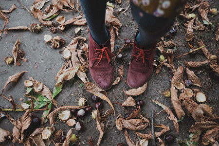 大气秋的壁纸靴子上的栗背景图片