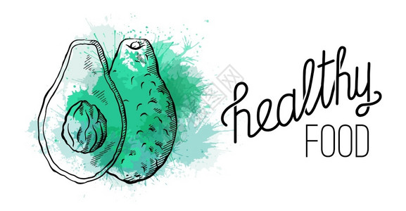 健康食品含有绿色水彩斑点和字母的鳄梨大纲含有绿色水彩斑点和字母的鳄梨含有引号的红豆饮食和鳄梨的成分用于菜单文章卡片和设计的矢量线背景图片