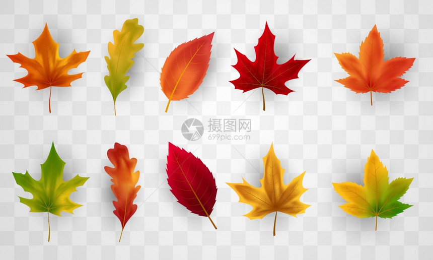 秋落叶背景质图片