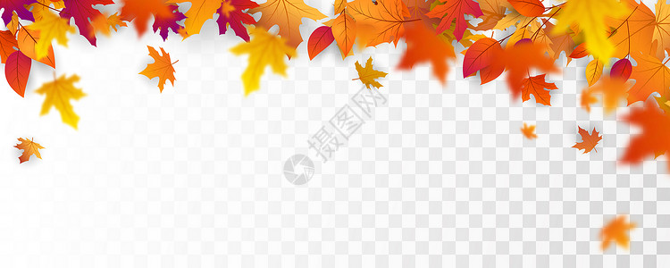 秋天落叶背景矢量模板图片
