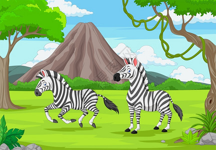 非洲草原斑马丛林中的卡通两只斑马插画