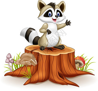 卡通可爱的浣熊在树桩上挥手图片