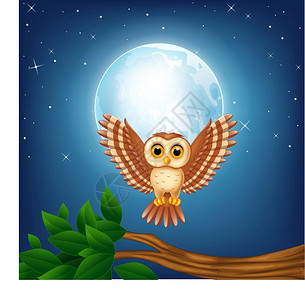 卡通猫头鹰在夜间飞行图片