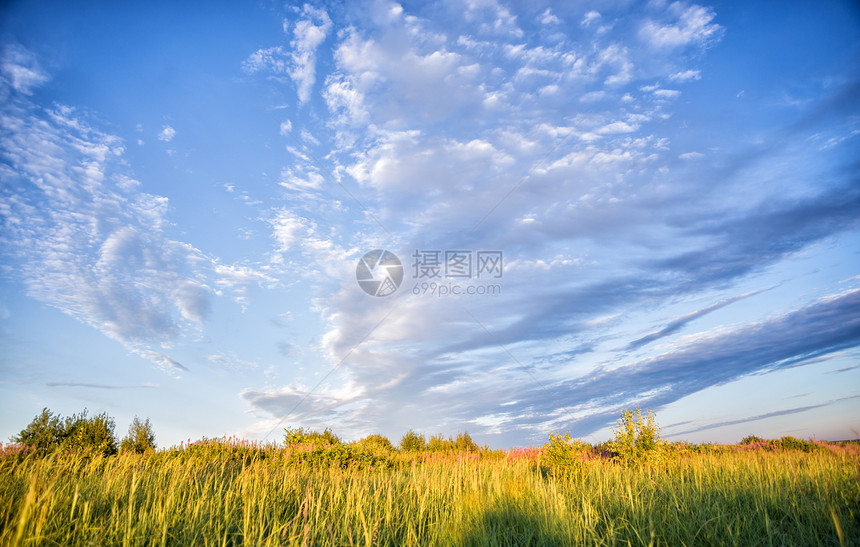 美丽的农村风景蓝天空云夏晨草原野花图片