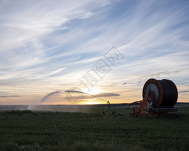 日出时在法国规范田里喷洒水背景图片