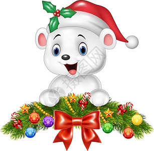圣诞宝贝圣诞节快乐的北极熊设计图片