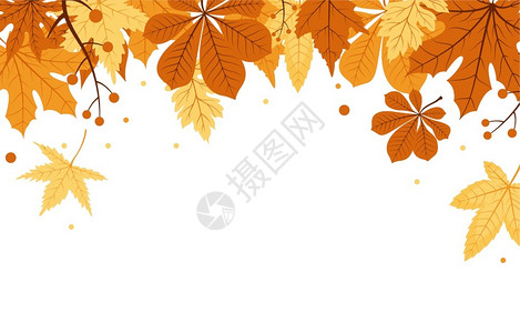 全龄秋天枫叶背景边框插画