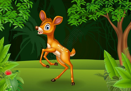 丛林摄影丛林中的卡通鹿插画
