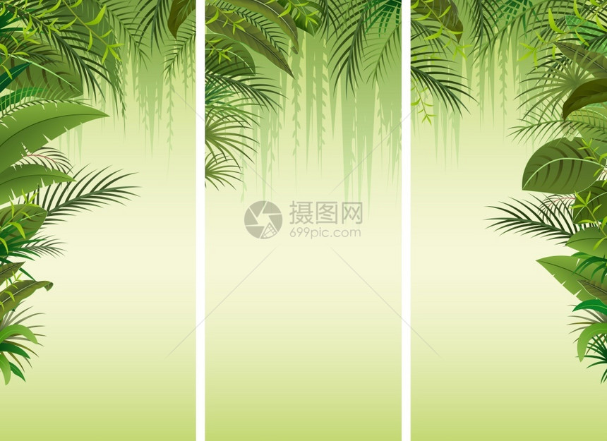 热带森林背景图片