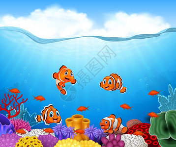 海底卡通小丑鱼插画图片