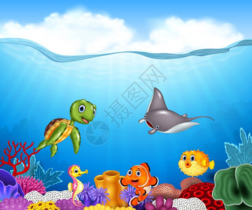 美丽的水下世界和海洋生物图片