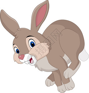 卡通棕色兔子图片