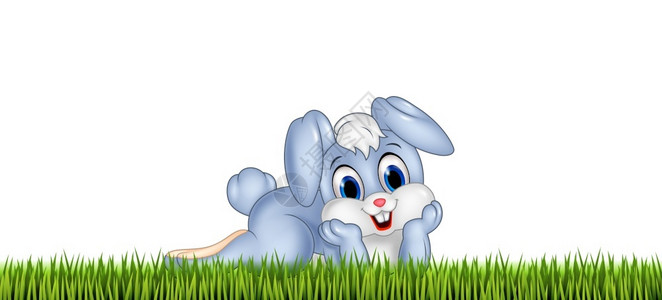 草地上的可爱的小兔子图片