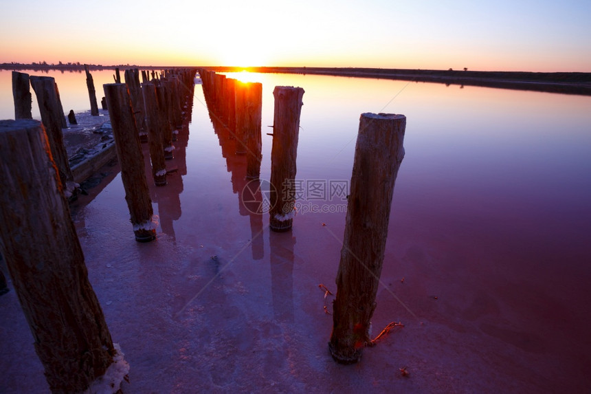 清晨粉红色盐湖的美丽景观被摧毁的大坝木质残骸图片