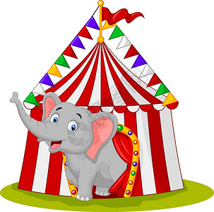 马戏团帐篷里快乐的大象图片