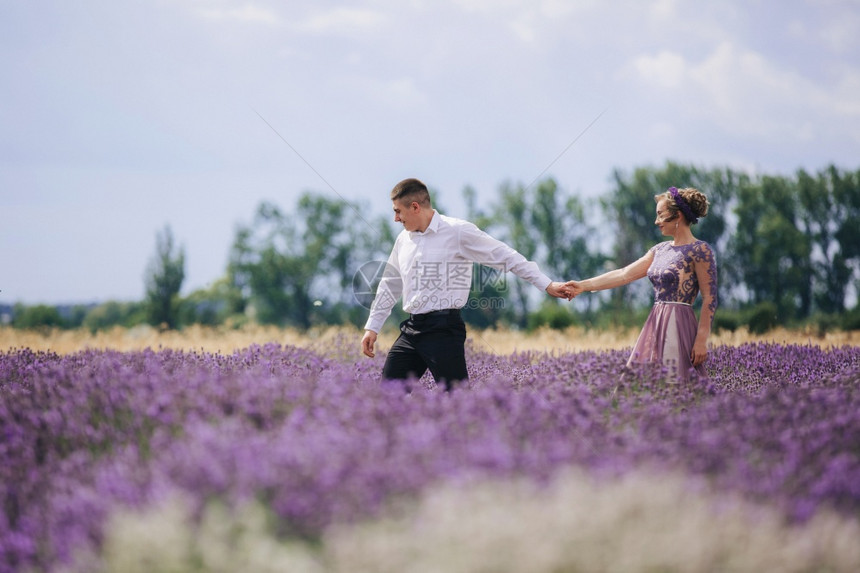 爱的年轻夫妇在夏日熏衣草地上手牵散步穿着豪华紫色裙子的女孩夏日爱的年轻夫妇在熏衣草地上手牵散步图片