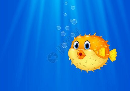 吹肚鱼海洋中游泳的河豚插画