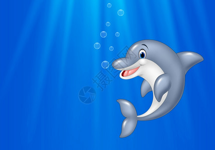 风趣海洋中游泳的卡通海豚插画