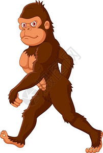 卡通可爱的猩猩背景图片