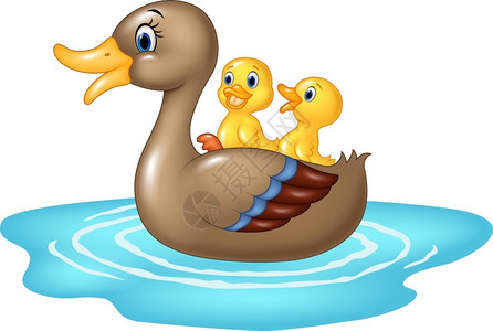 池塘中的鸭子背景图片