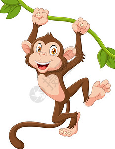 世间宝贝在此挂在葡萄树上的可爱猴子插画