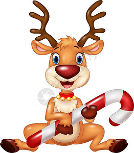 拥有圣诞糖果的可爱小鹿图片