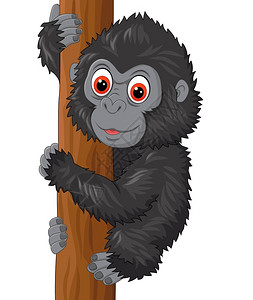 可爱的小猩猩攀爬树图片