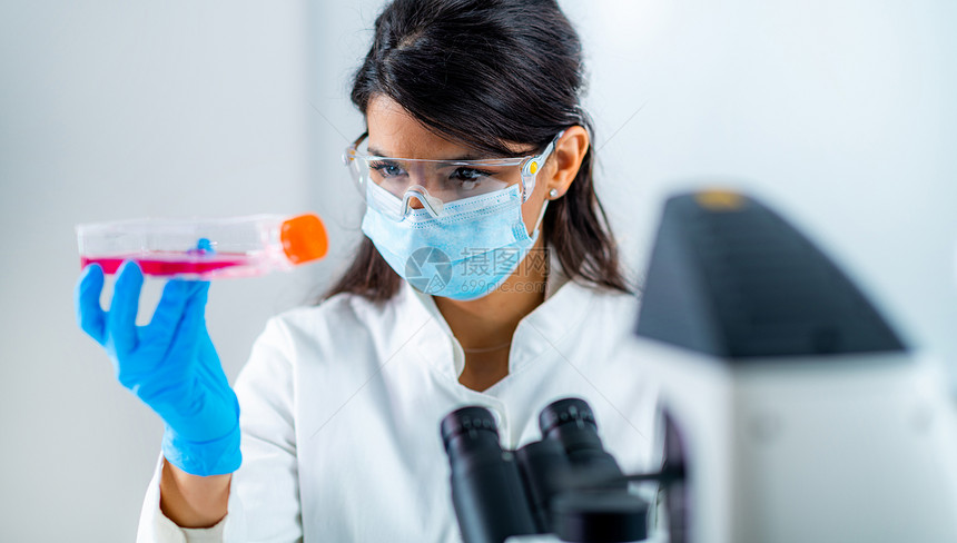 在实验室学习精美医或分子生物的与细胞培养美女医学或分子生物一起工作图片