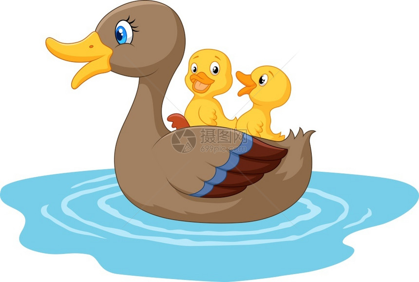 池塘上的卡通鸭子图片