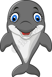 灰色海豚有趣的海豚插画