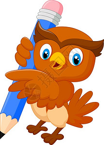 卡通猫头鹰拥有一支铅笔背景图片